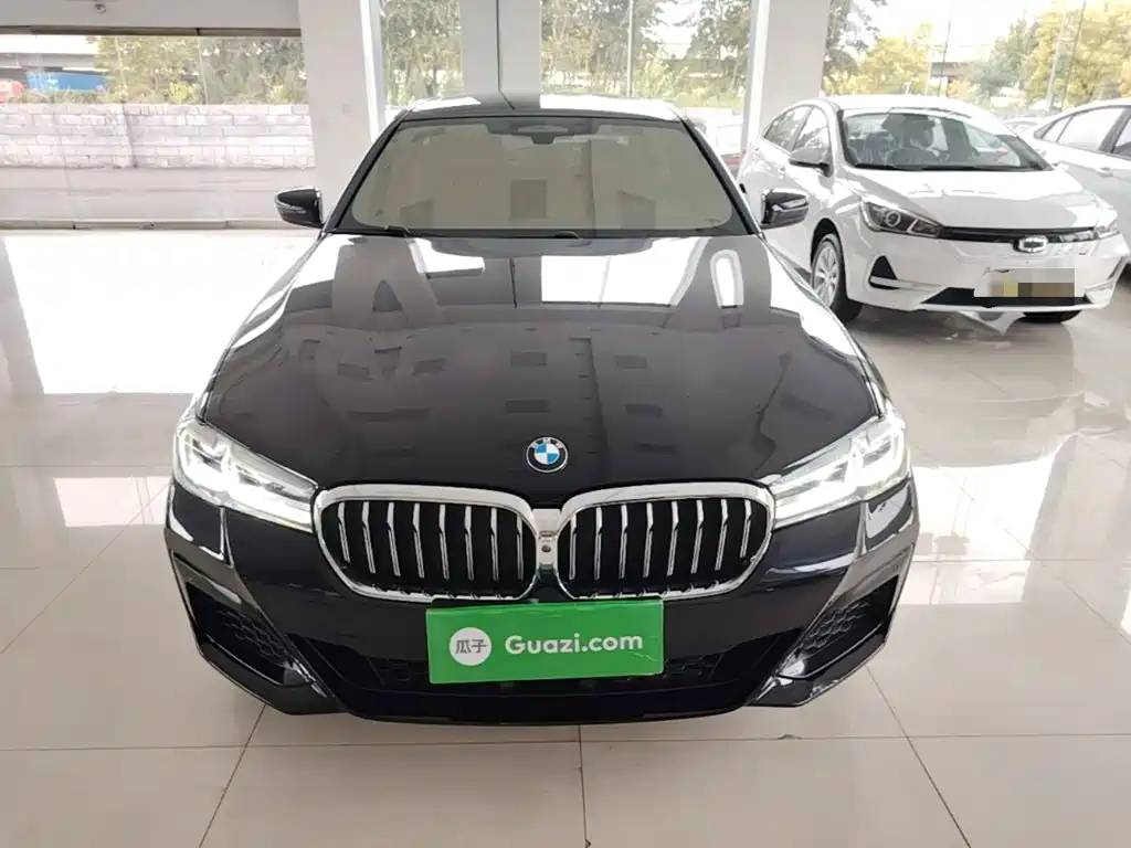 BMW 5 Series — миниатюра 3
