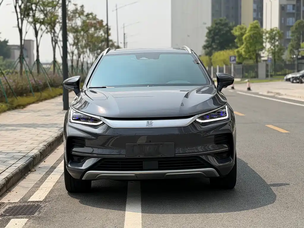 BYD Tang New Energy — миниатюра 2