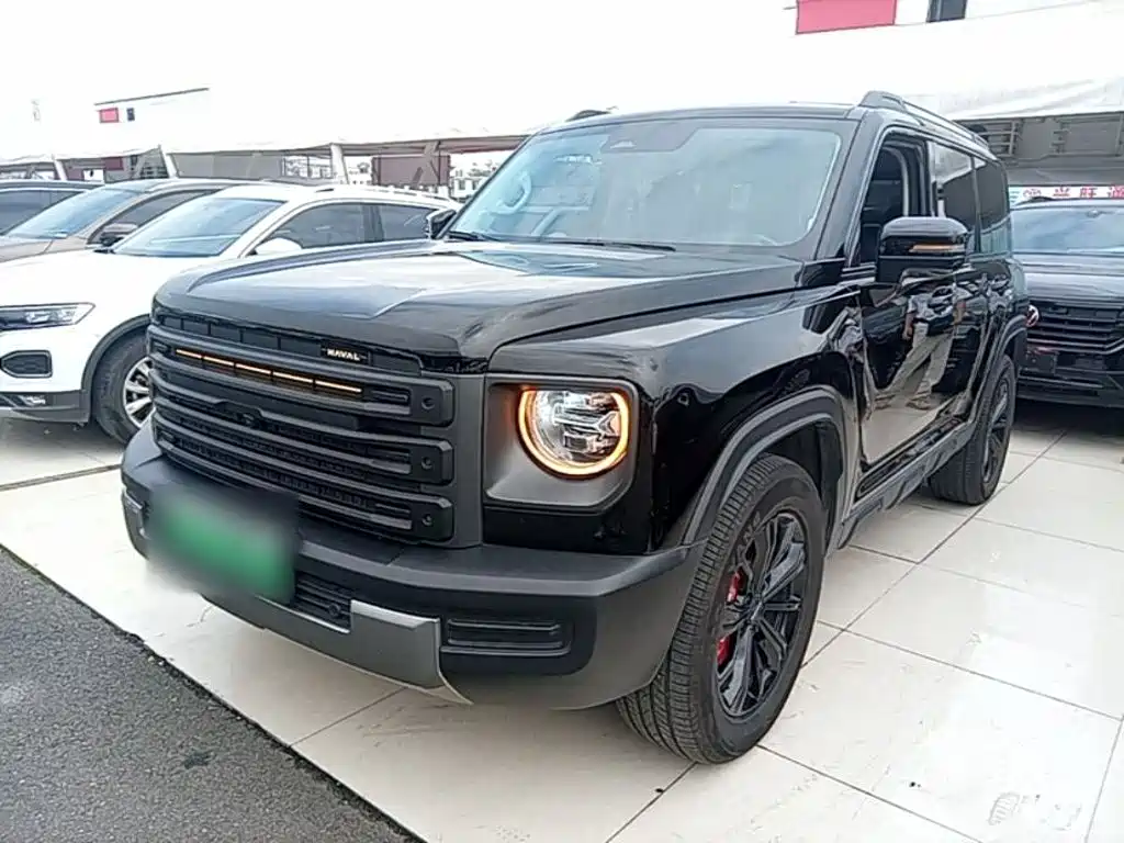 Haval Menglong New Energy — миниатюра 2