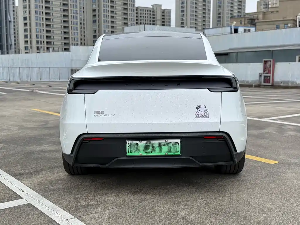 Tesla Model Y — миниатюра 5
