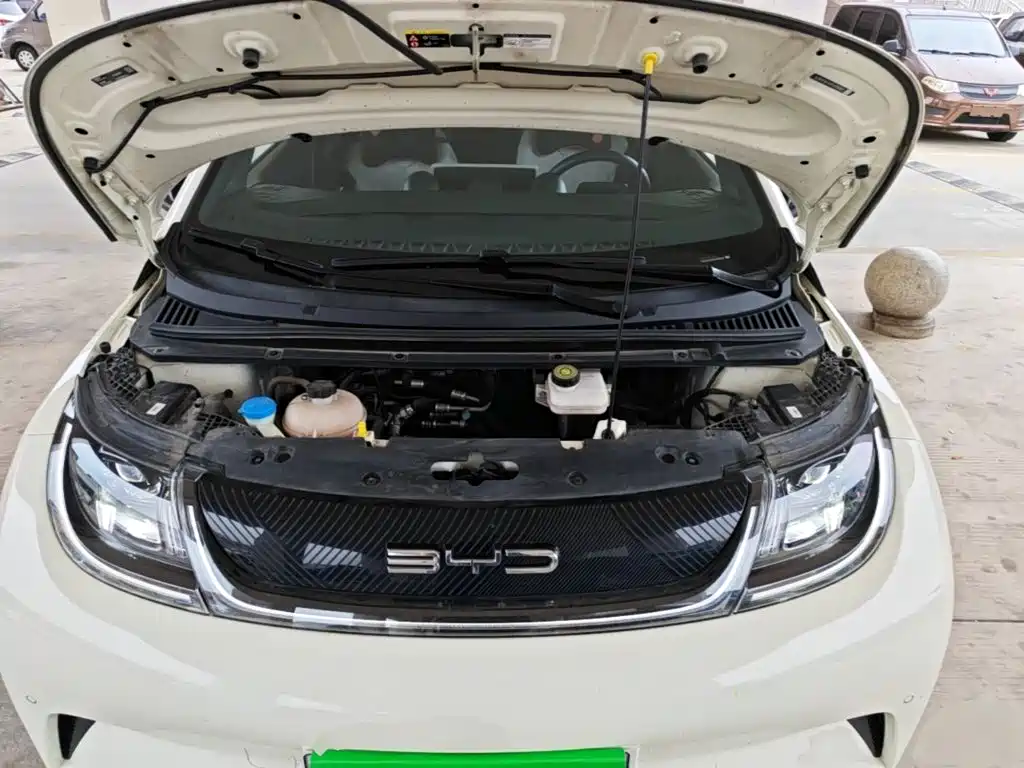 BYD Dolphin — миниатюра 20