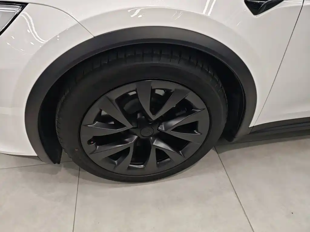 Tesla Model X — миниатюра 25