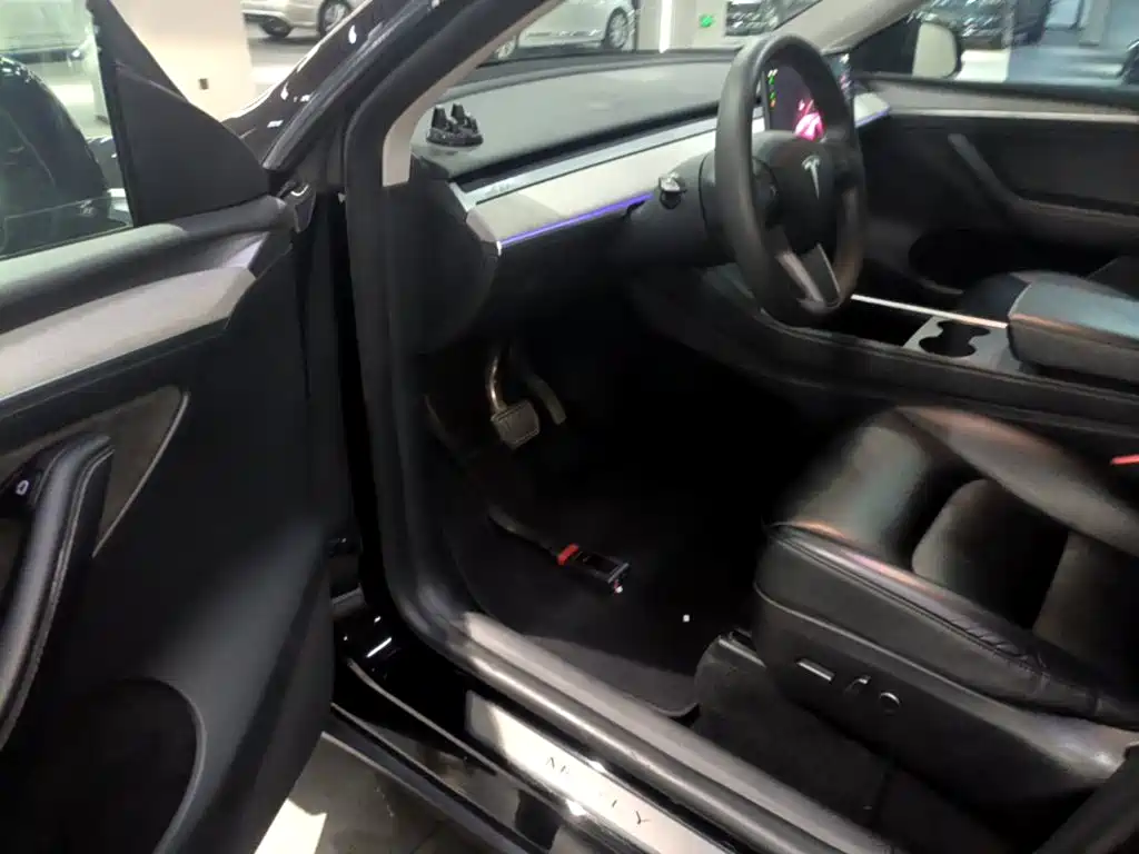 Tesla Model Y — миниатюра 16