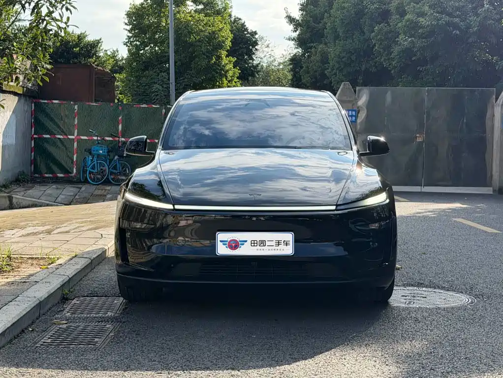 Tesla Model Y — миниатюра 2