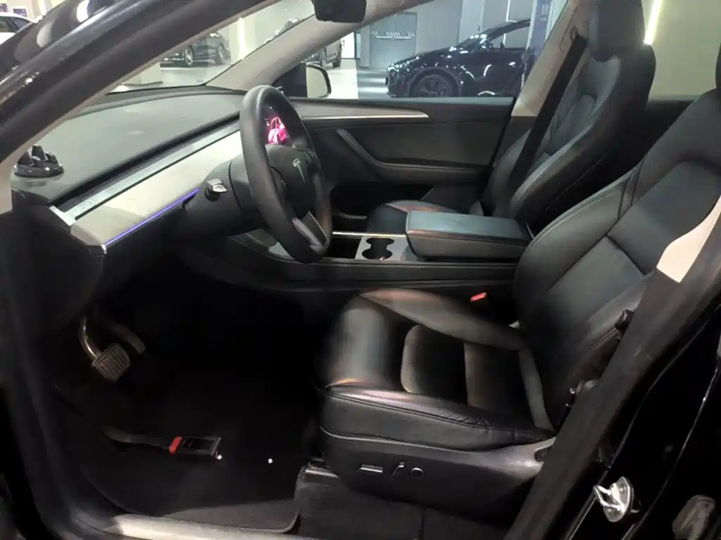 Tesla Model Y — миниатюра 15