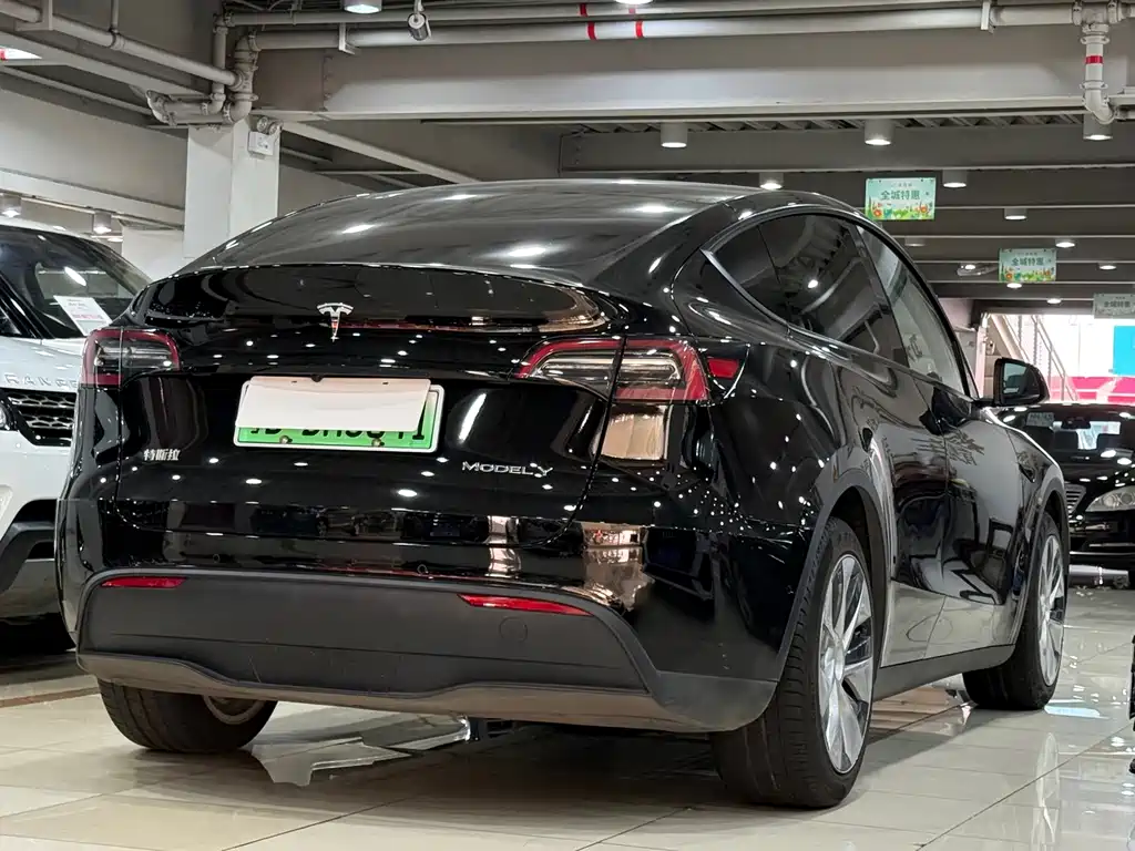 Tesla Model Y — миниатюра 16