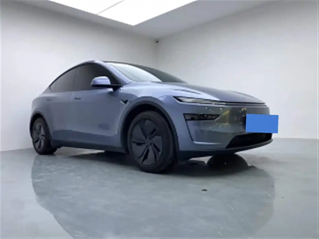Tesla Model Y — миниатюра 3