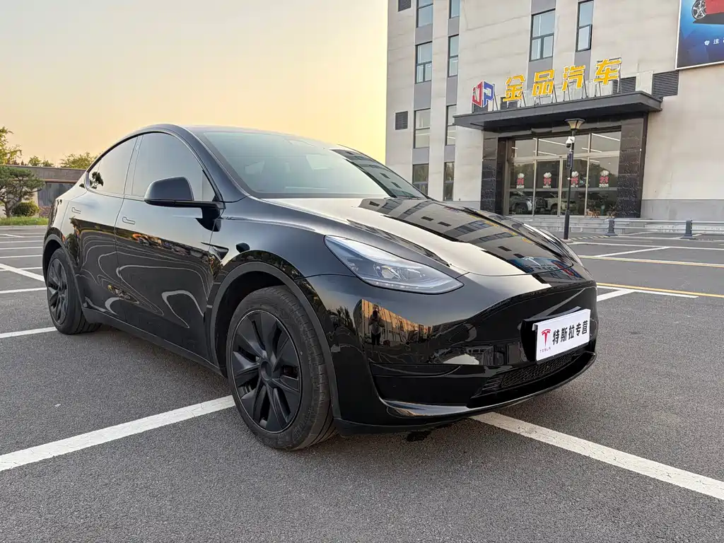 Tesla Model Y — миниатюра 8