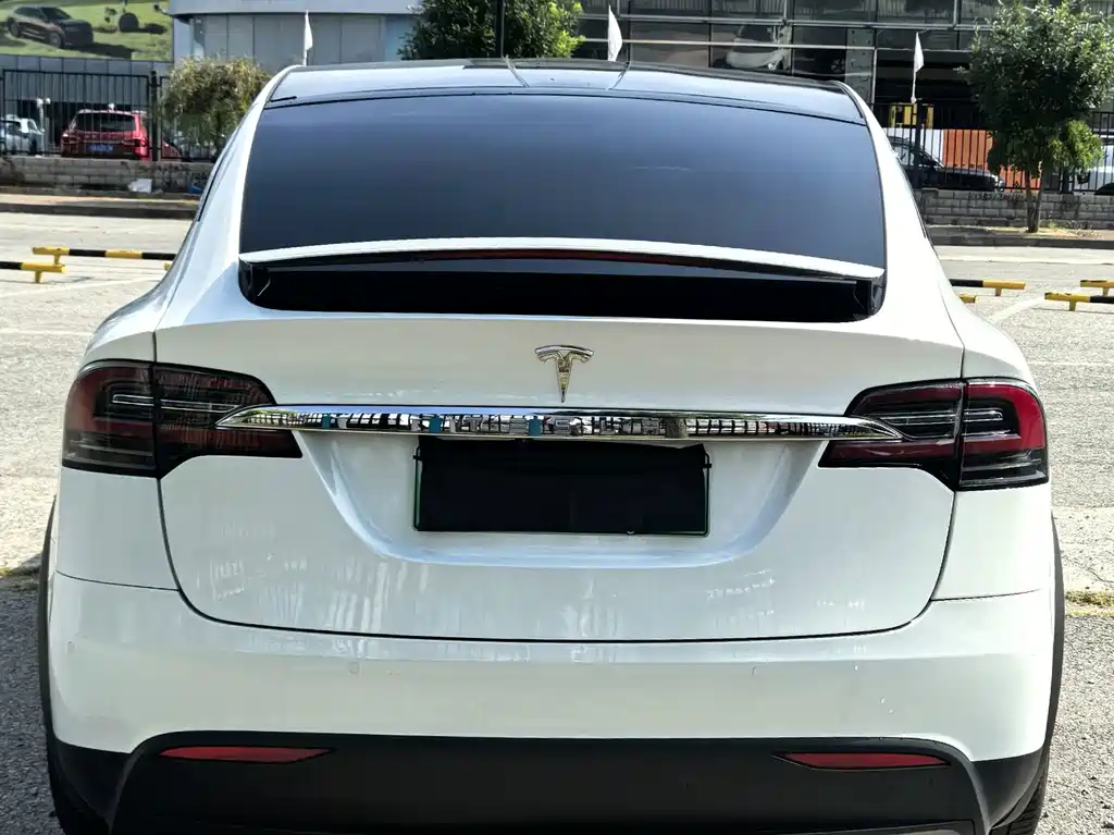 Tesla Model X — миниатюра 11