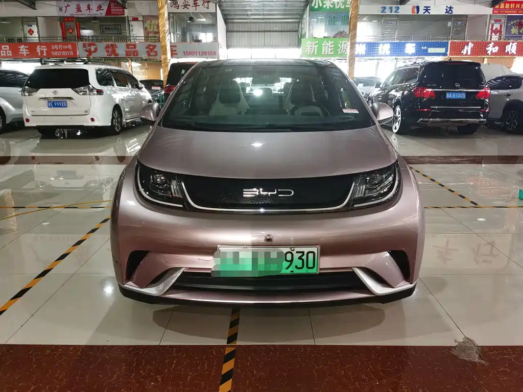 BYD Dolphin — миниатюра 2