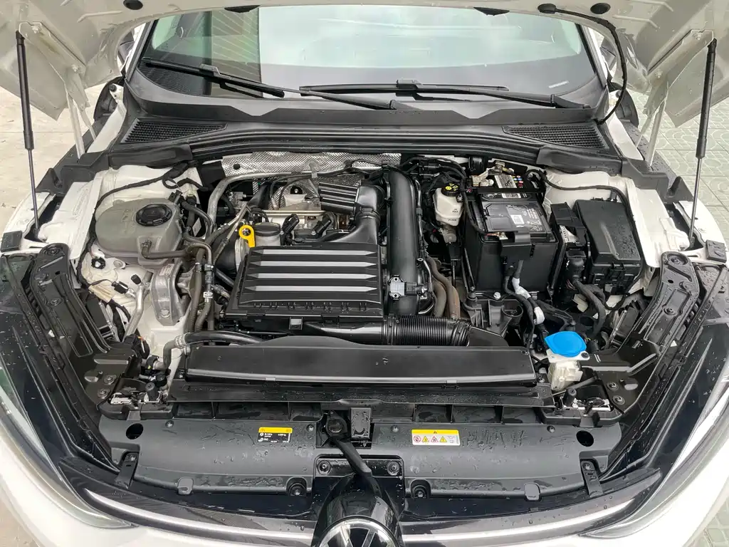 Volkswagen Lamando — миниатюра 27