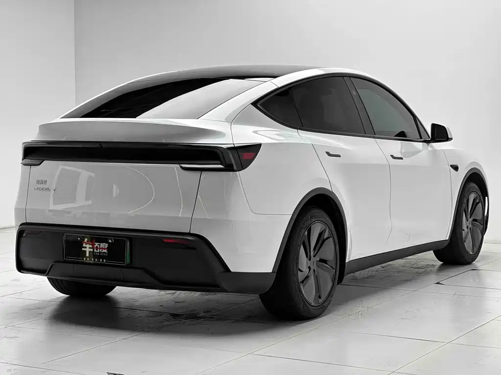 Tesla Model Y — миниатюра 6