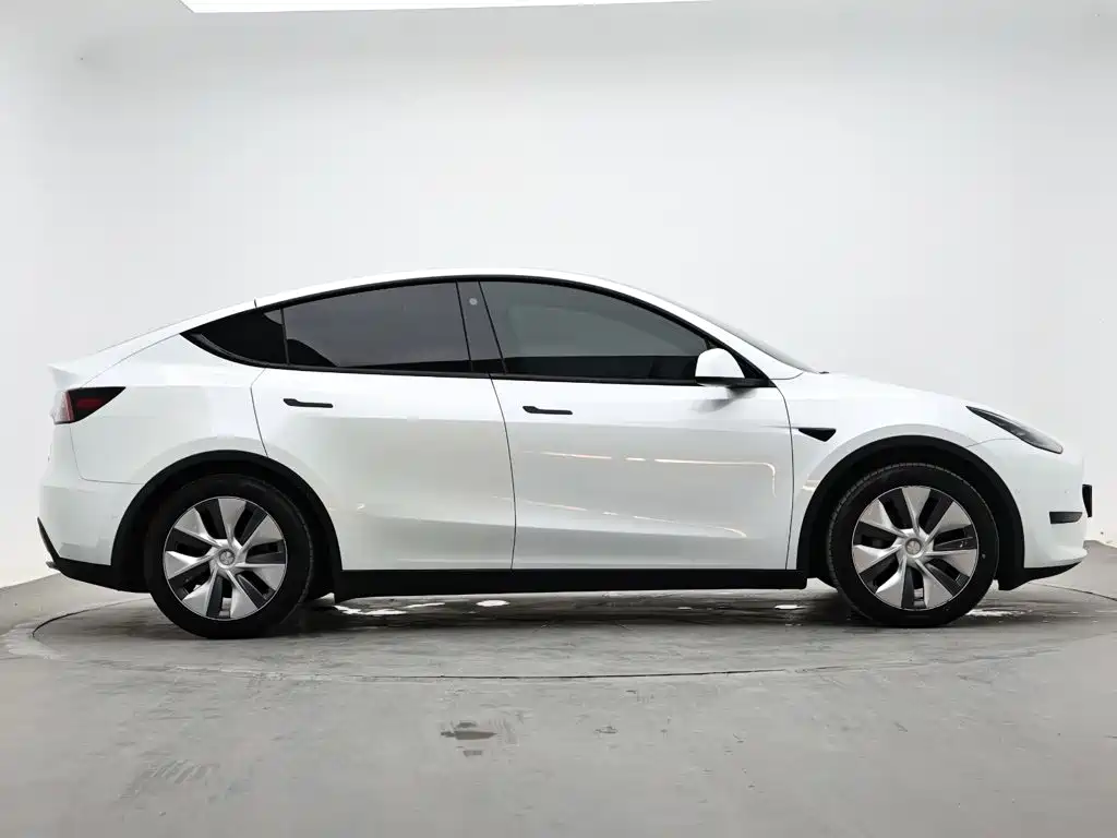 Tesla Model Y — миниатюра 5