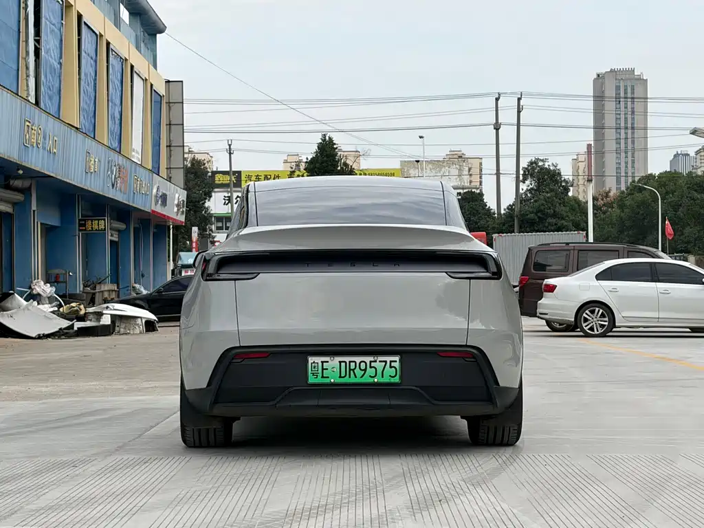 Tesla Model Y — миниатюра 5
