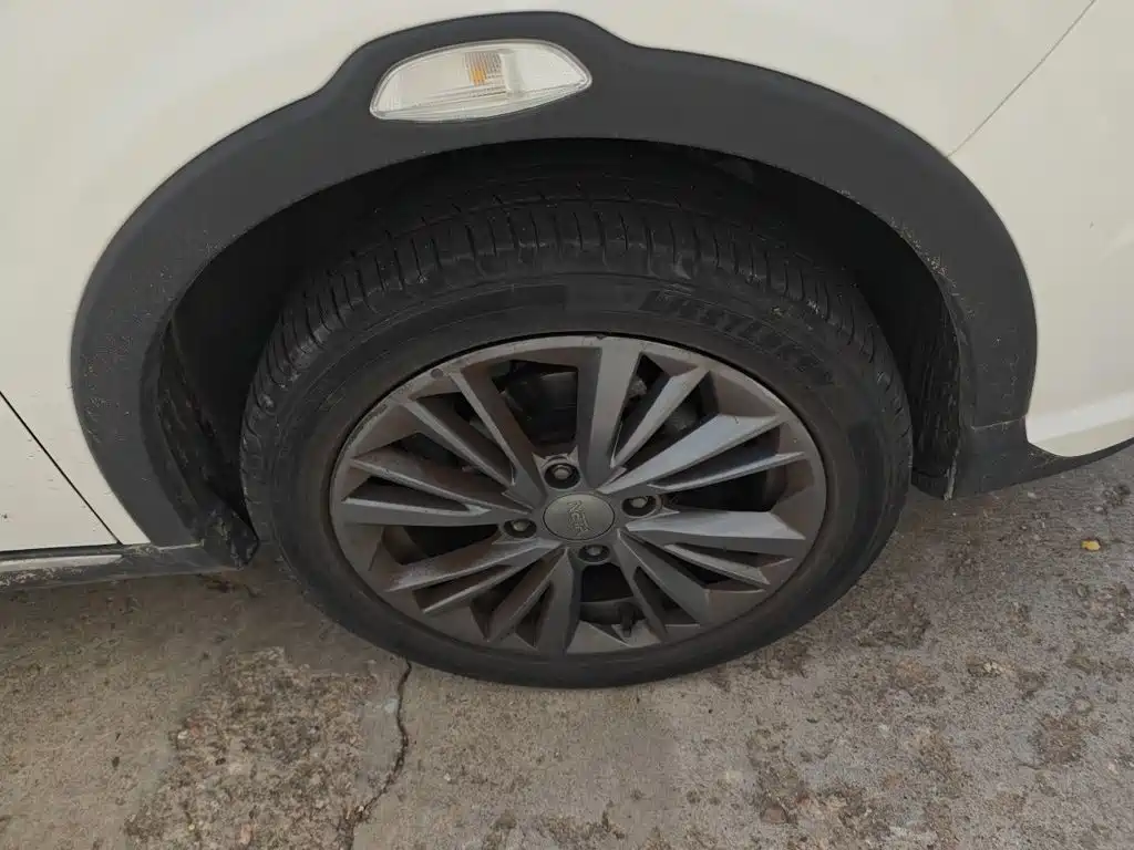 Neta Neta V — миниатюра 25