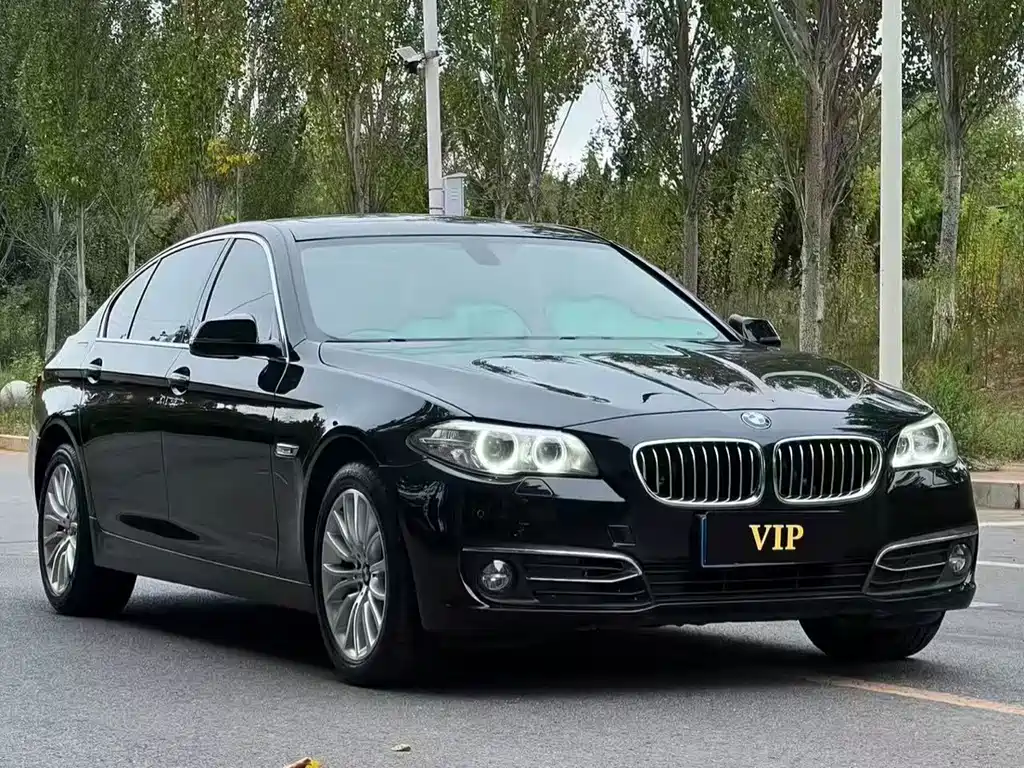 BMW 5 Series — миниатюра 3