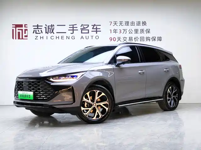 BYD TANGXIN ENERGY 2024