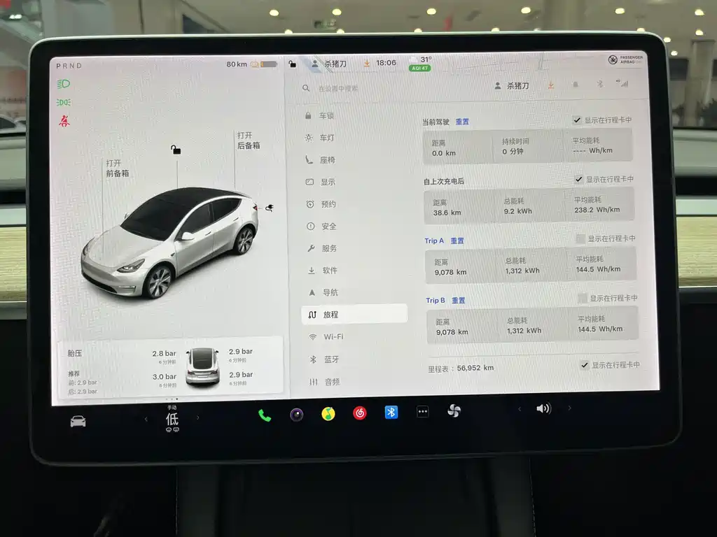 Tesla Model Y — миниатюра 21