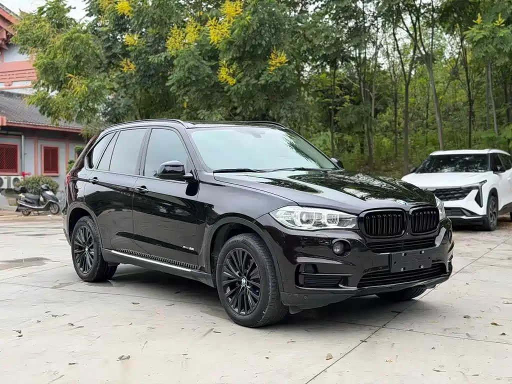 BMW X5 (Import) — миниатюра 3