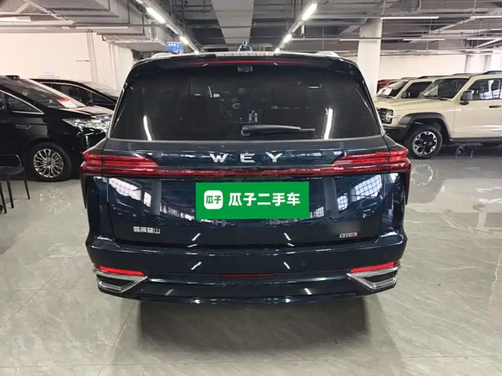 Wey Wey Lanshan — миниатюра 6