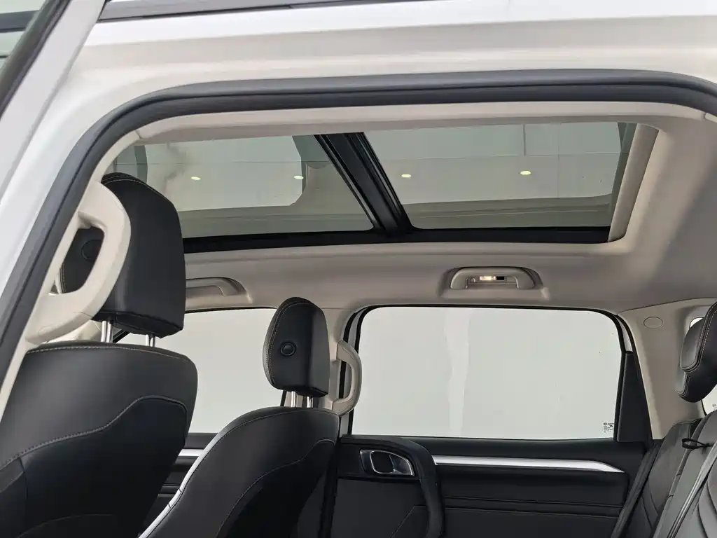 Haval Dargo 2.0T DCT 4WD Xiaotian Dog Edition, фото 9