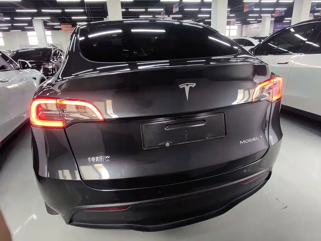 Tesla Model Y — миниатюра 6
