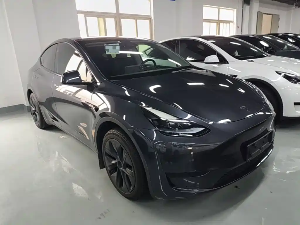 Tesla Model Y — миниатюра 4