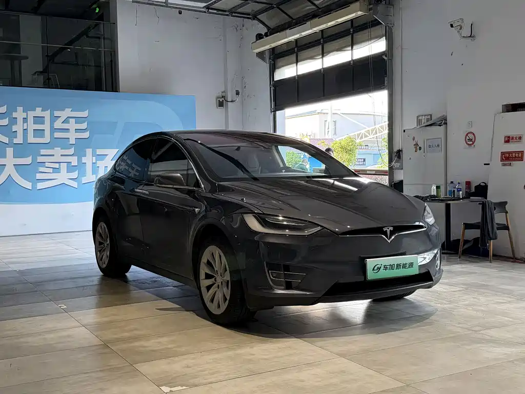 Tesla Model X — миниатюра 3