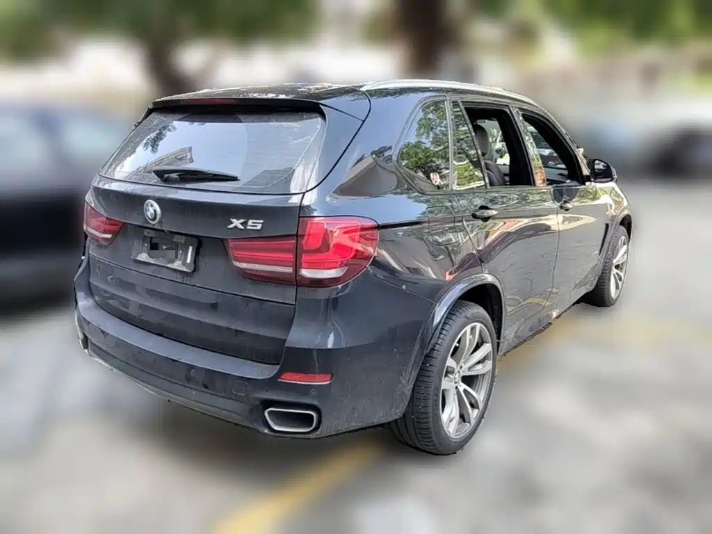 BMW X5 (Import) — миниатюра 10