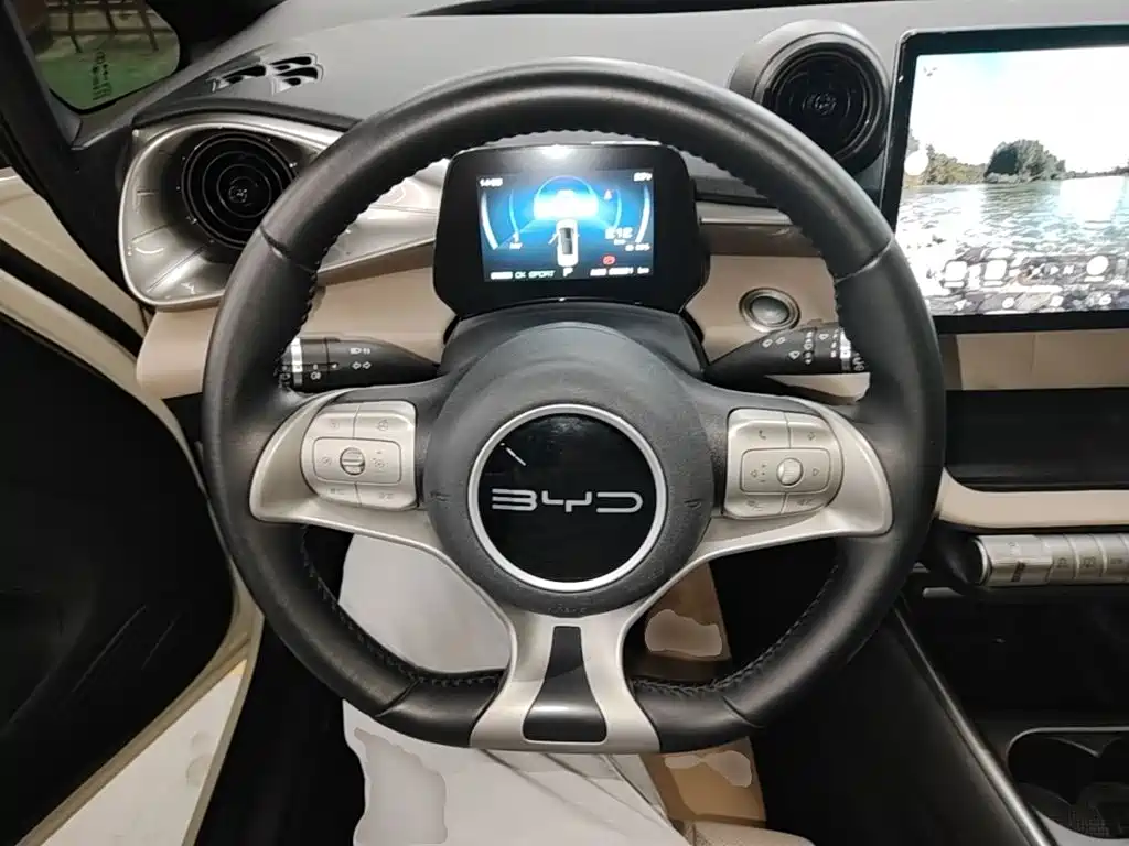 BYD Dolphin — миниатюра 11