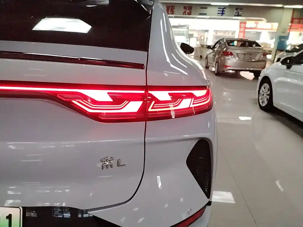 BYD L EV — миниатюра 8