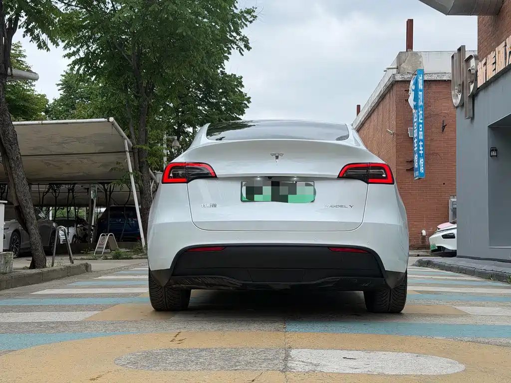 Tesla Model Y — миниатюра 8