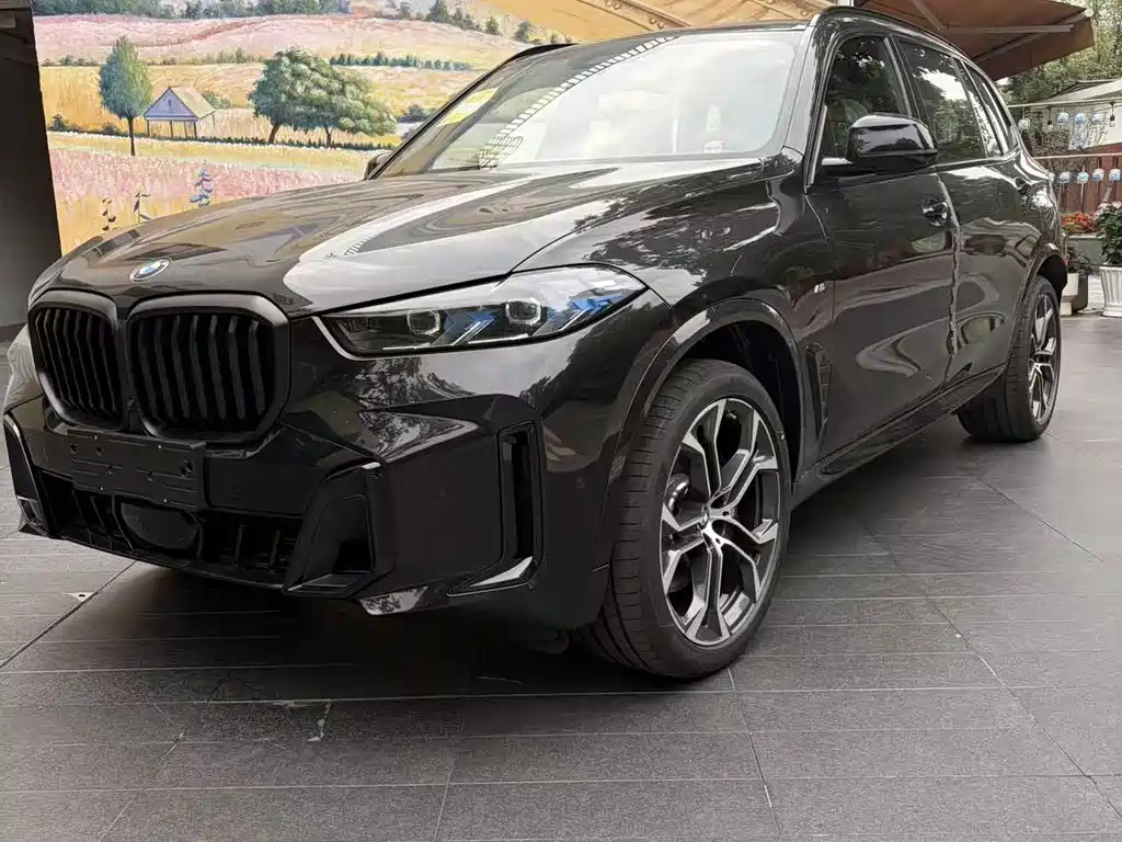 BMW X5 - zdjęcie 1 z 11