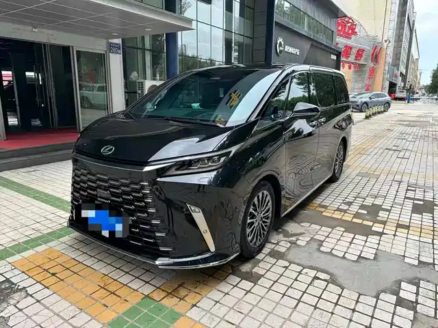 2025 Lexus LM