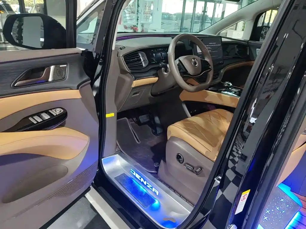 Denza Denza D9 — миниатюра 16