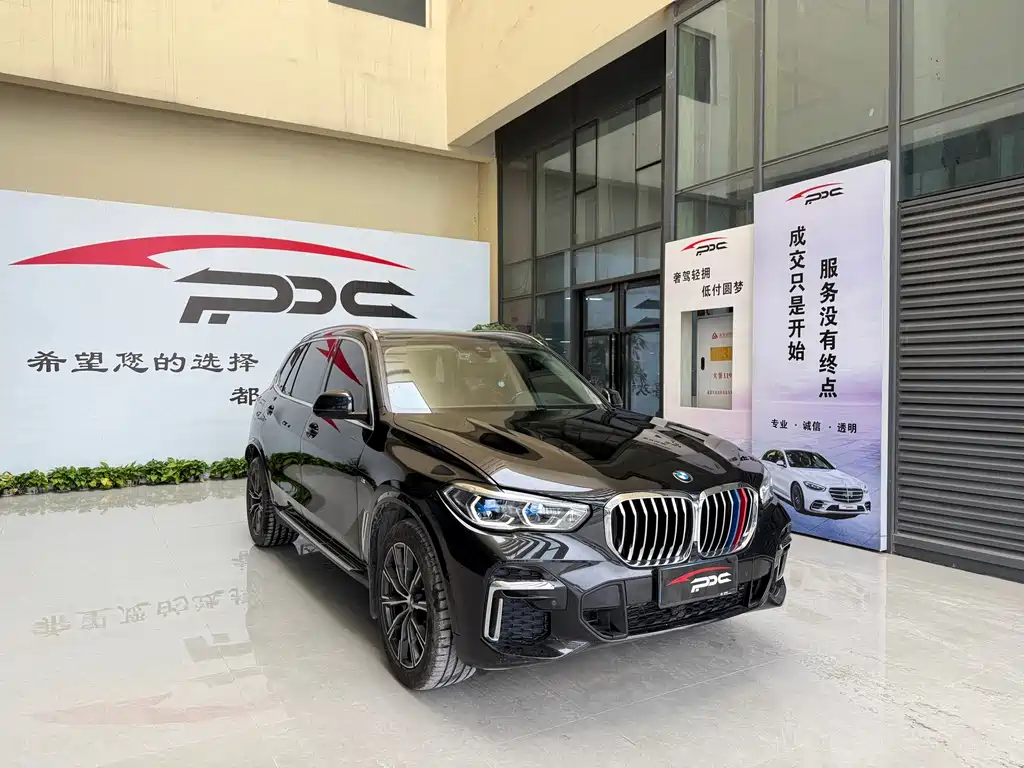 BMW X5 — миниатюра 10