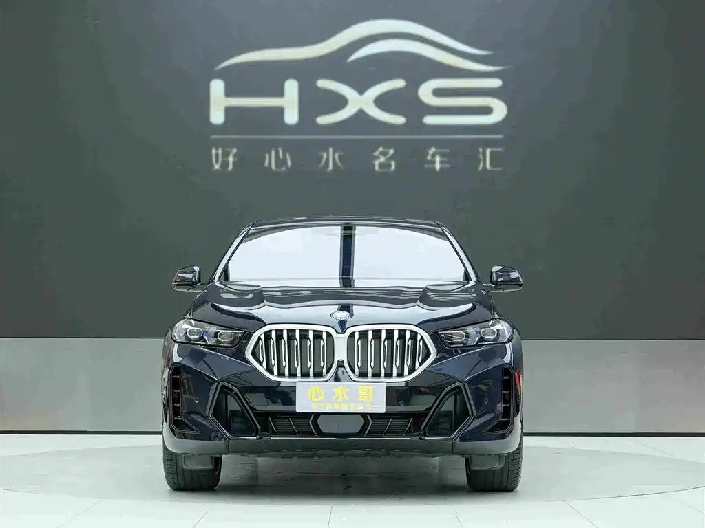 BMW X6 — миниатюра 2