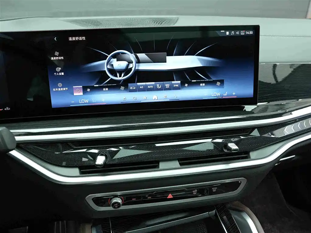 BMW X6 — миниатюра 9