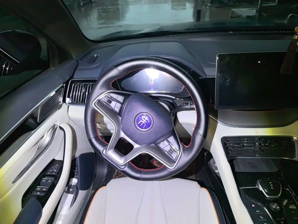 BYD PLUS New Energy — миниатюра 6