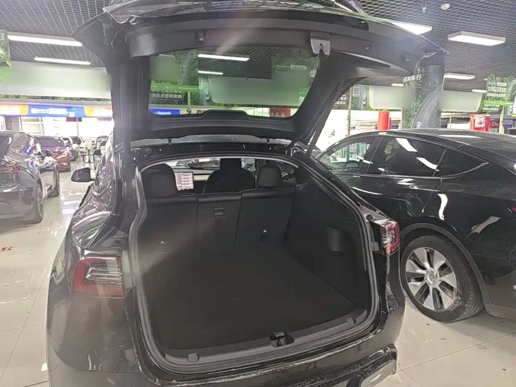 Tesla Model Y — миниатюра 19
