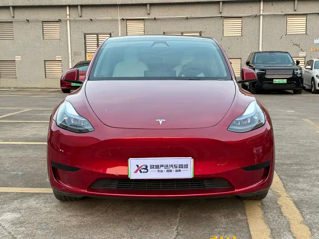 Tesla Model Y — миниатюра 2