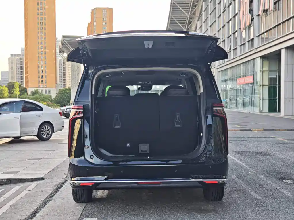 Maxus Dajia 9 — миниатюра 6