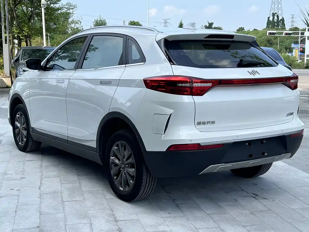 WM Motor EX5 — миниатюра 6