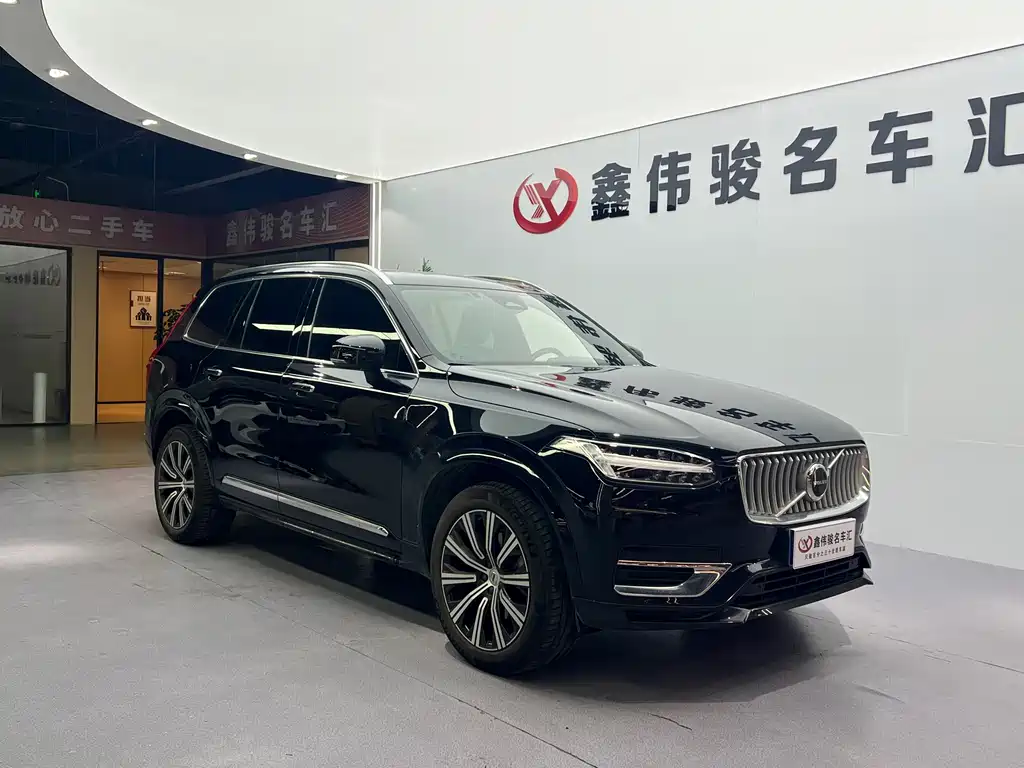 Volvo XC90 — миниатюра 4