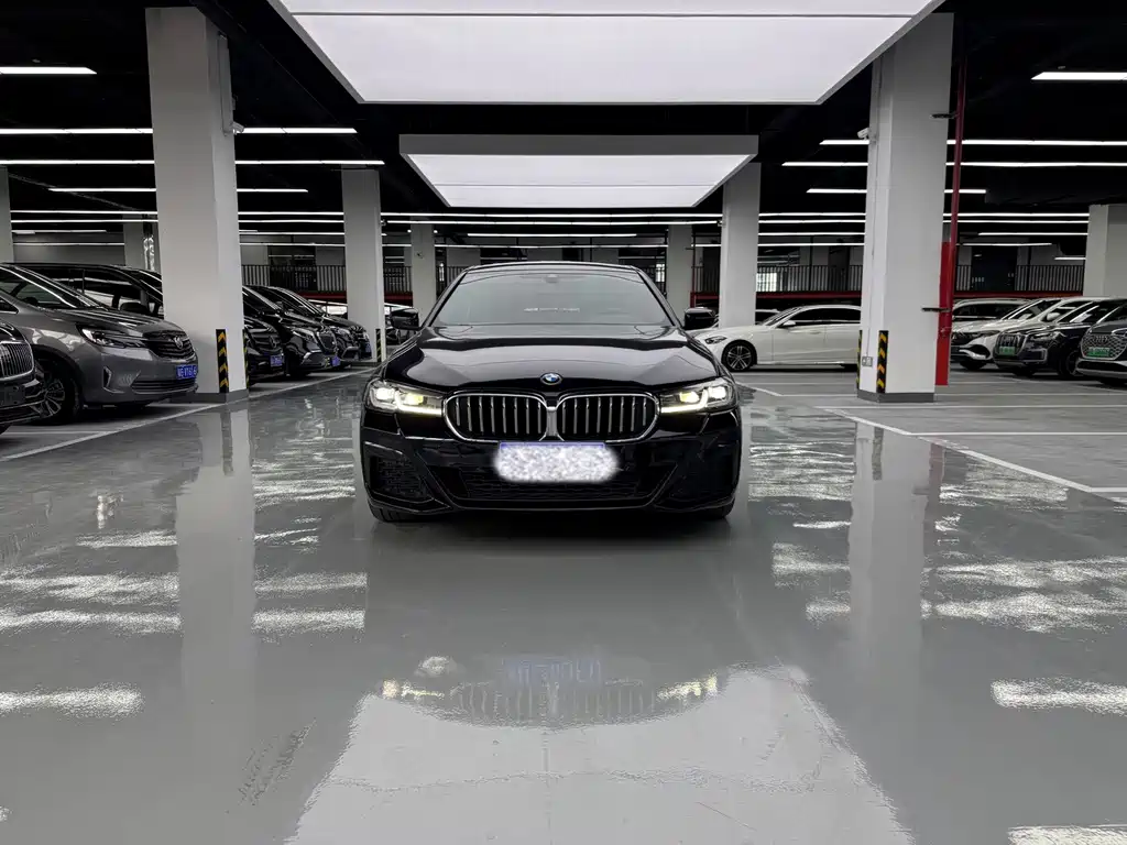 BMW 5 Series — миниатюра 2