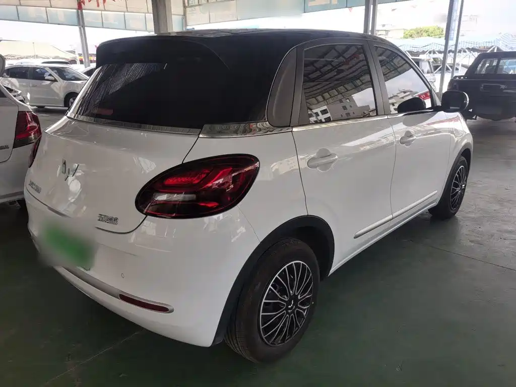 Wuling Binguo 2024 203km