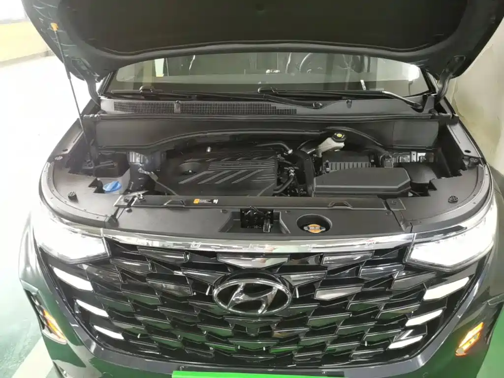 Hyundai Custo — миниатюра 20