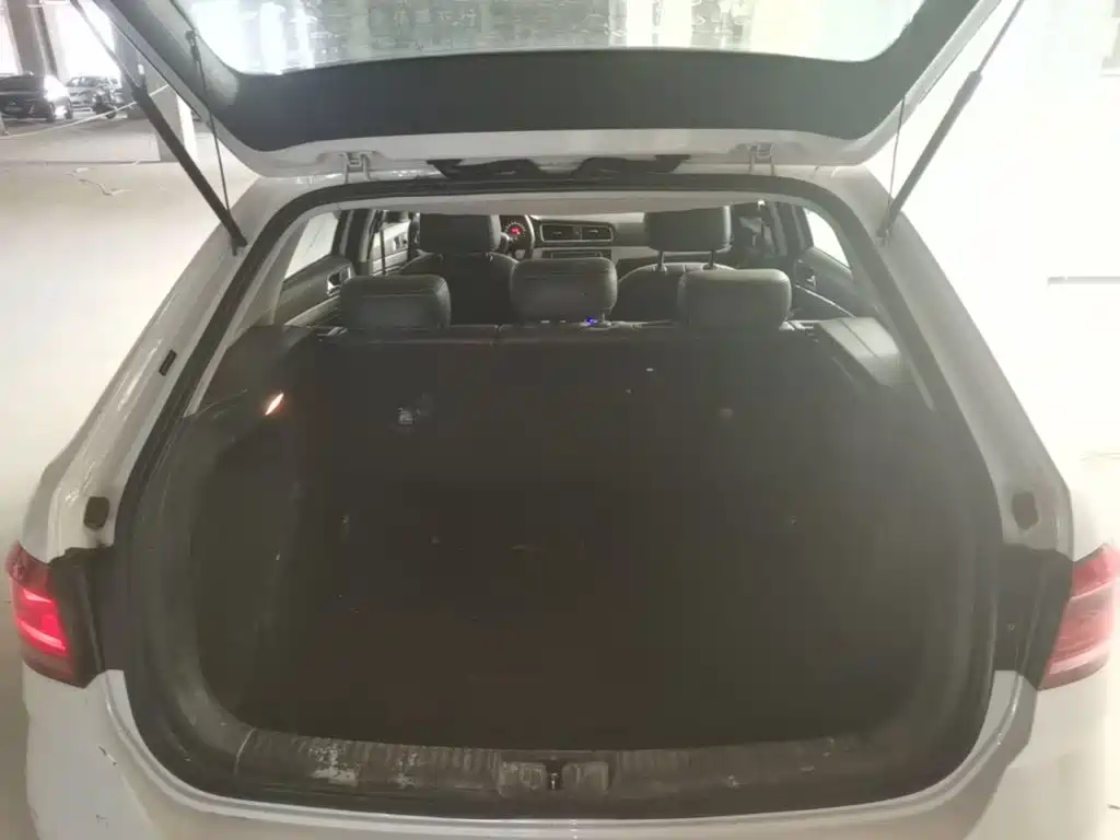 Volkswagen Gran Lavida — миниатюра 19