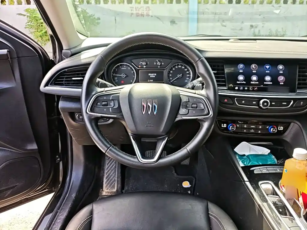 Buick Regal — миниатюра 11