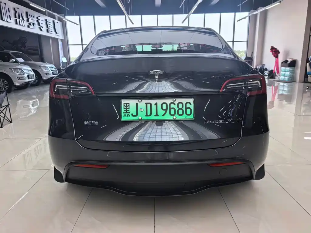 Tesla Model Y — миниатюра 5